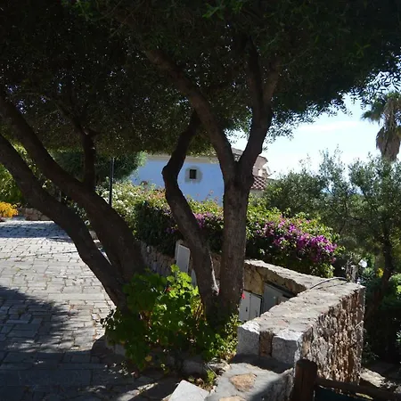 Maiorca